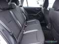 Skoda Scala 1.0 TSI Drive Kessy RüKa Sitzh. Smart Link Weiß - thumbnail 6