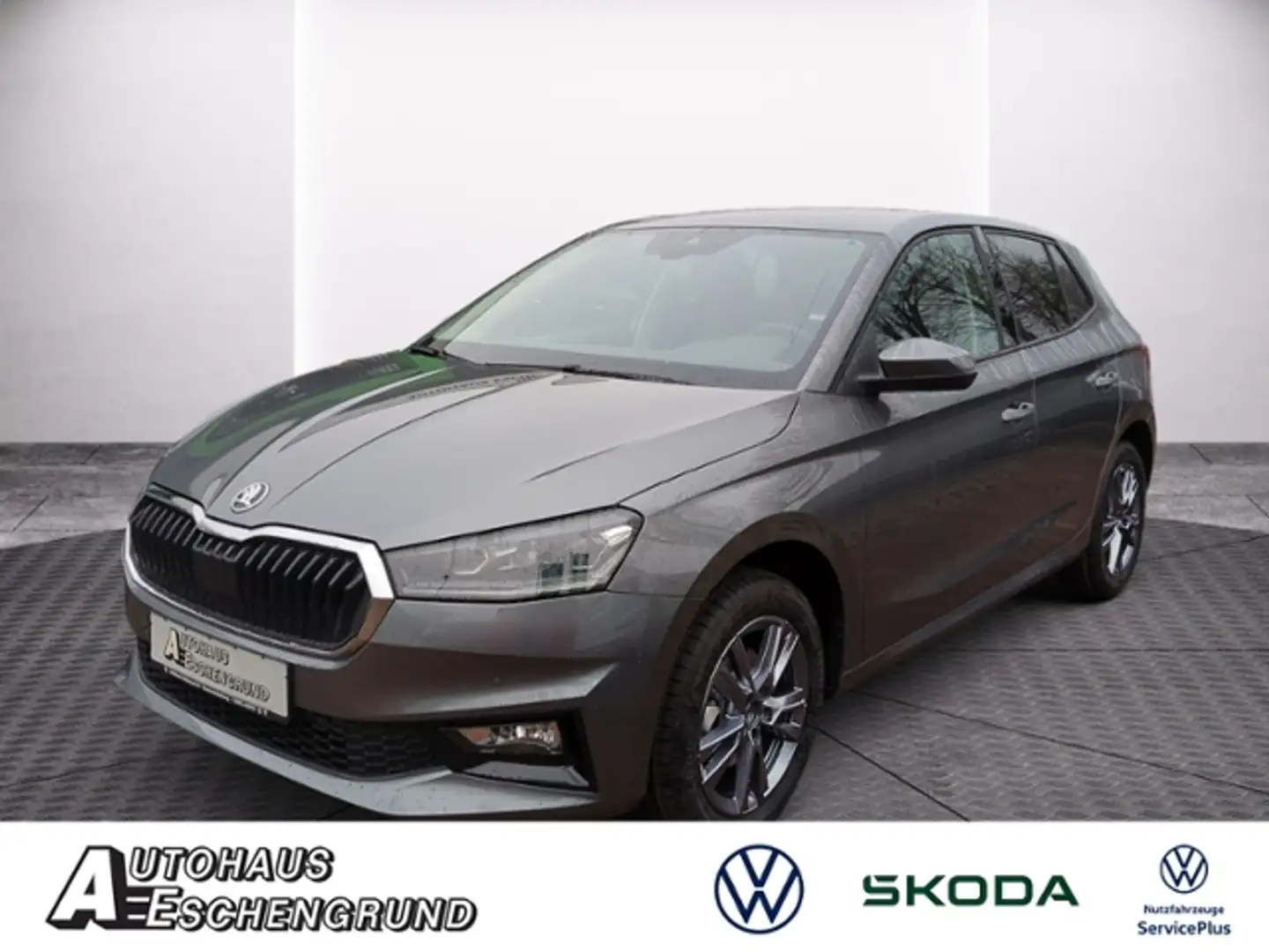 Skoda Fabia 1.0 TSI DSG Tour NAV FAHRASSISTENZ LENKRADHZG Grey - 1