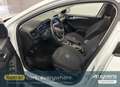 Ford Focus Turnier 1.0 EcoBoost Hybrid - thumbnail 9