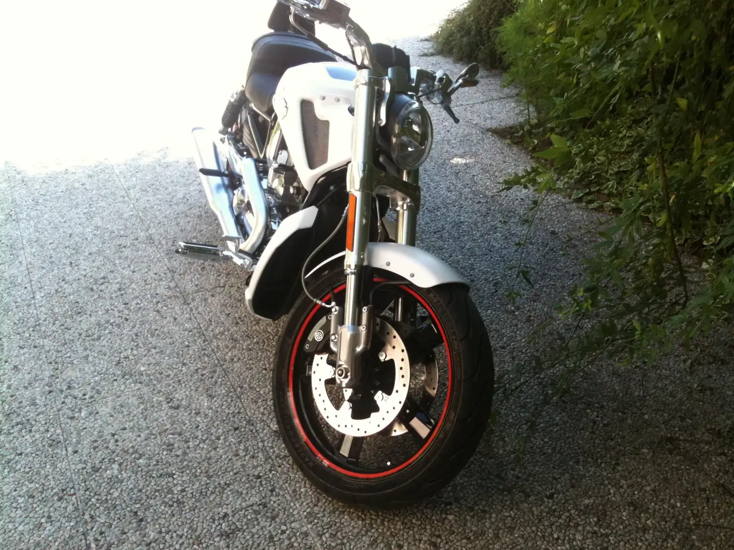 Harley-Davidson VRSC V-Rod Bianco - 1
