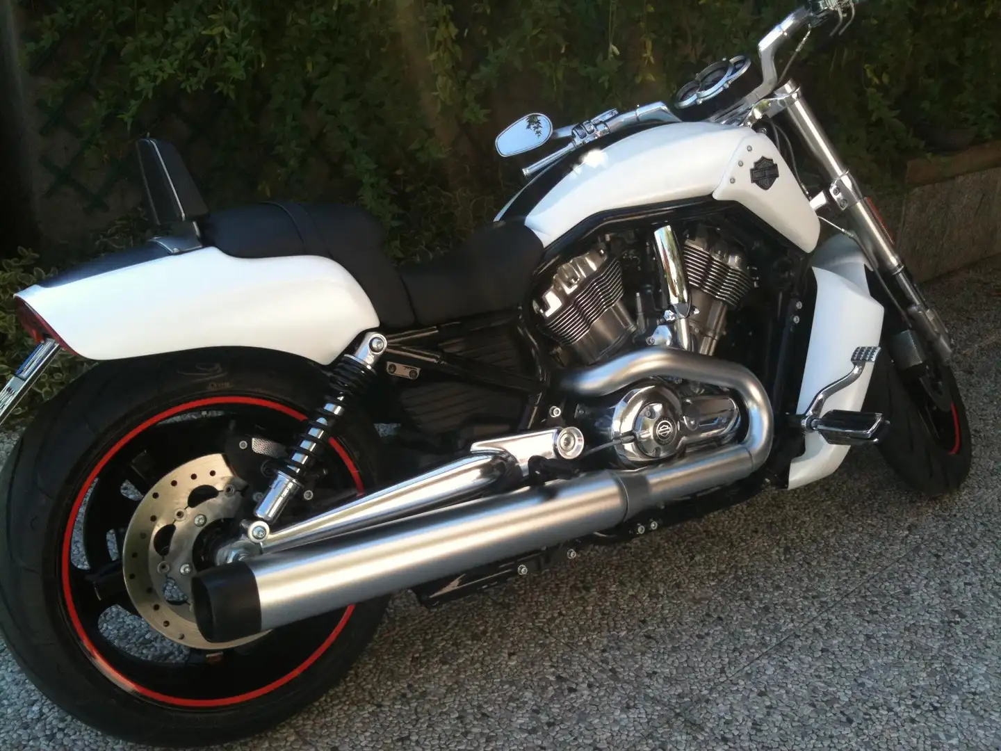 Harley-Davidson VRSC V-Rod Bianco - 2