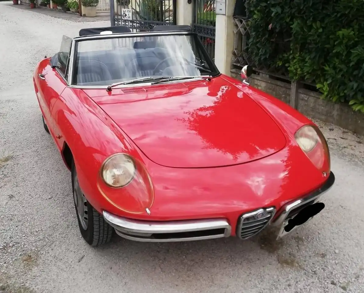 Alfa Romeo duetto spider osso di seppia, foto 1