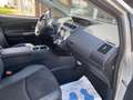 Toyota Prius+ Prius Wagon 1.8 Comfort Top 5 Edition Grau - thumbnail 19