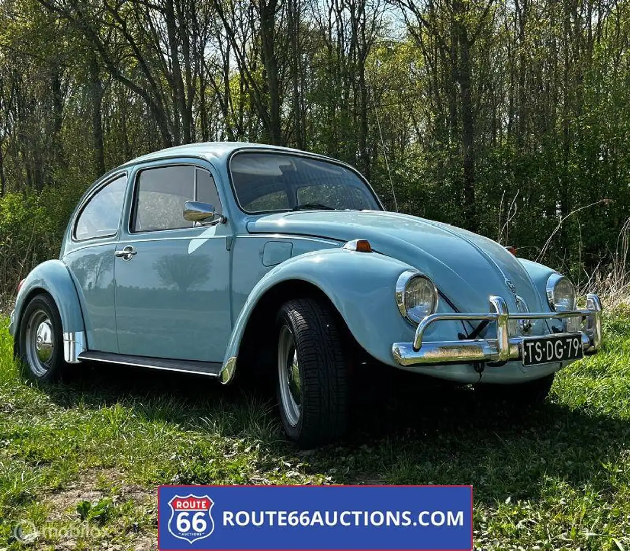BMW Beetle 1200 1974 | Route 66 Auctions Albastru - 1