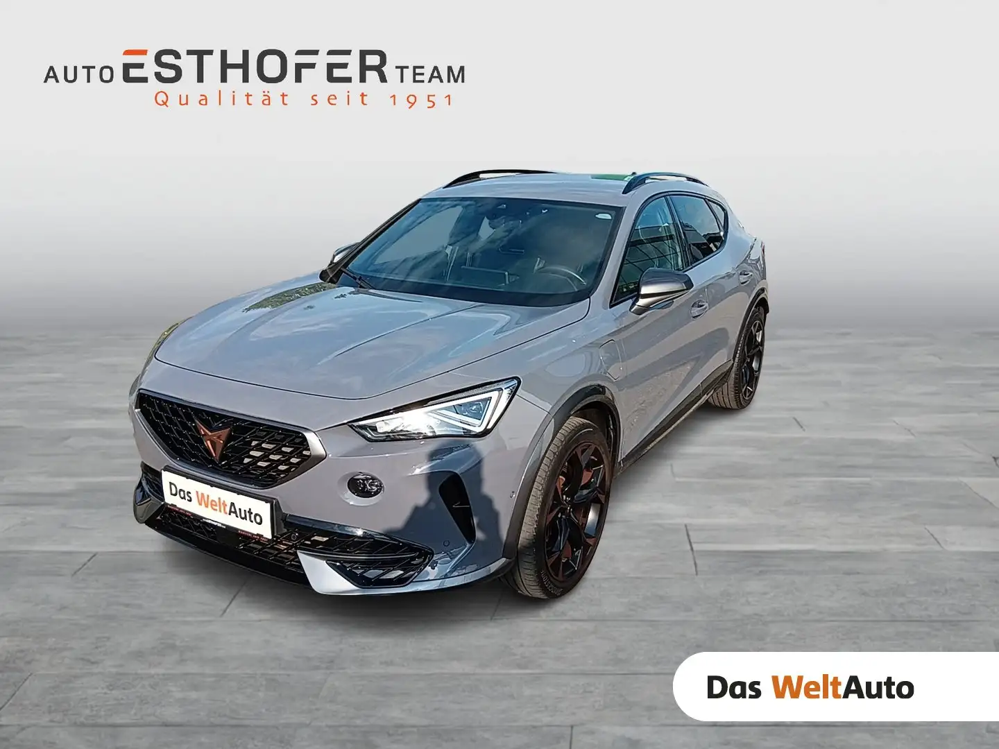 CUPRA Formentor TRIBE VZ e-HYBRID 245 PS DSG Grau - 1