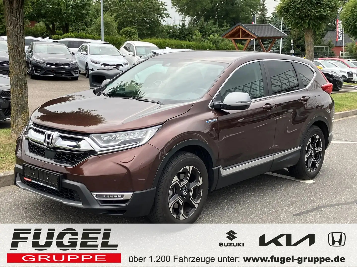Honda CR-V 2.0 i-MMD HYBRID 4WD Elegance|ACC|Navi|LED Brun - 1