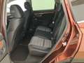 Honda CR-V 2.0 i-MMD HYBRID 4WD Elegance|ACC|Navi|LED Marrón - thumbnail 18