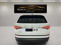 Skoda Kodiaq 1.5 TSI Ambition 4x2 DSG 110kW Blanco - thumbnail 7