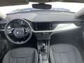 Skoda Kamiq 1.0 tsi Ambition 95cv Blu/Azzurro - thumbnail 10
