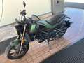 Benelli Leoncino Verde - thumbnail 3