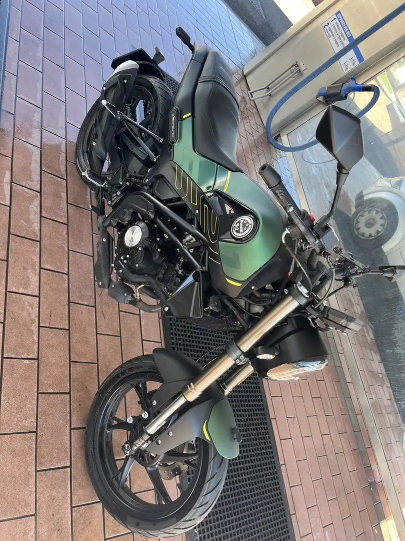 Benelli Leoncino Verde - 1