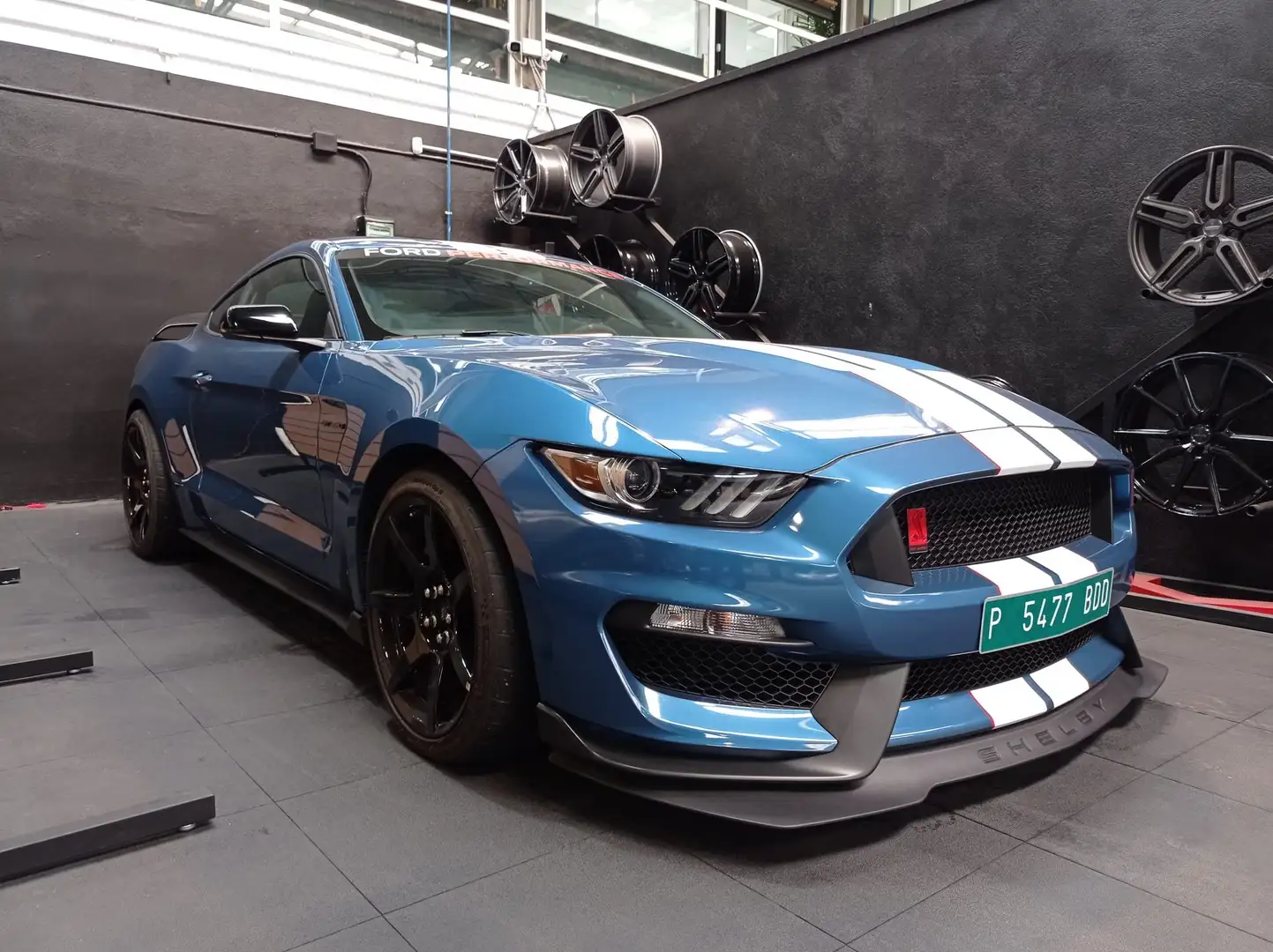 Shelby GT350R Blu/Azzurro - 1