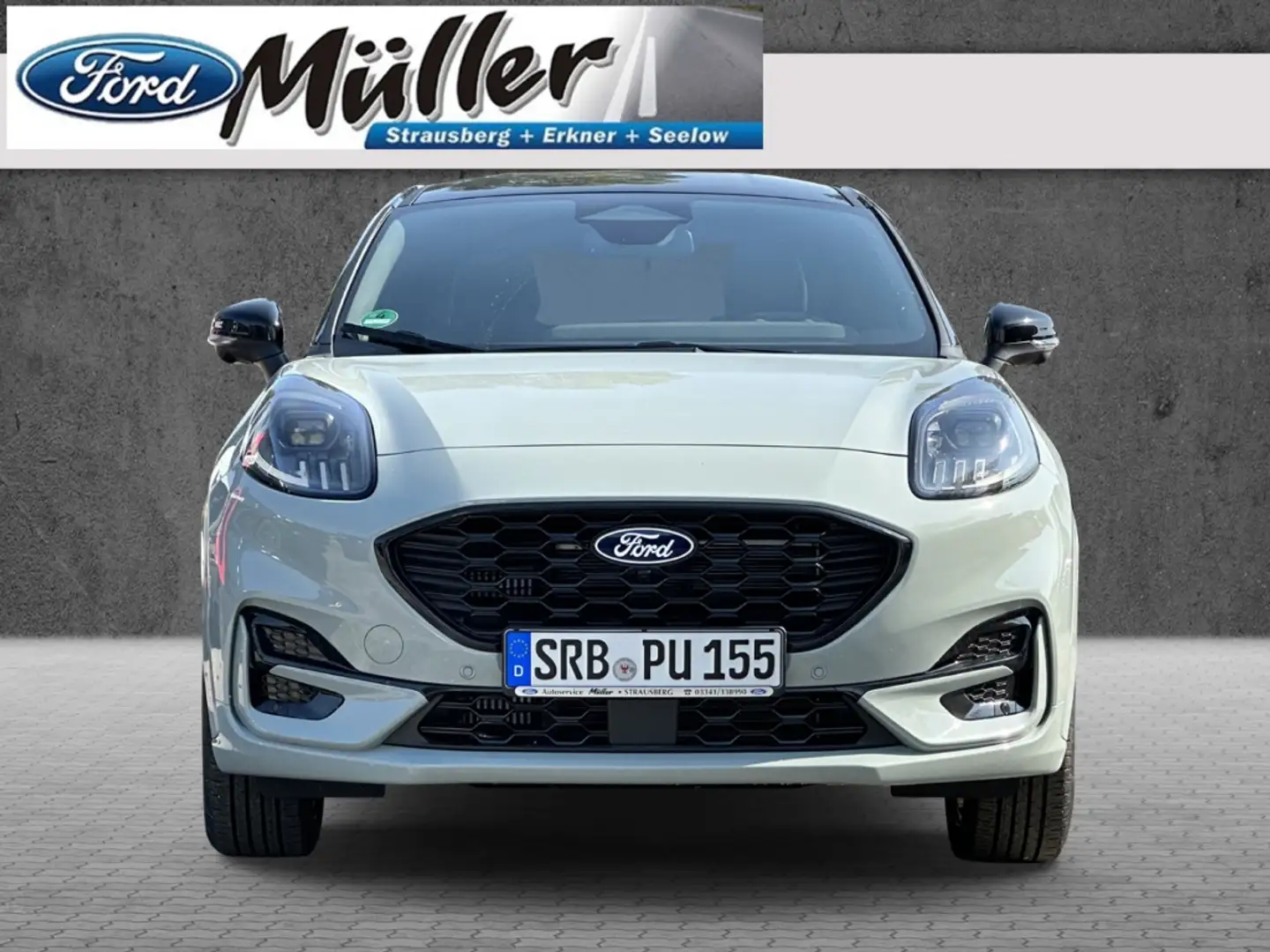 Ford Puma ST-Line X 1.0 EcoBoost Automatik Gris - 2