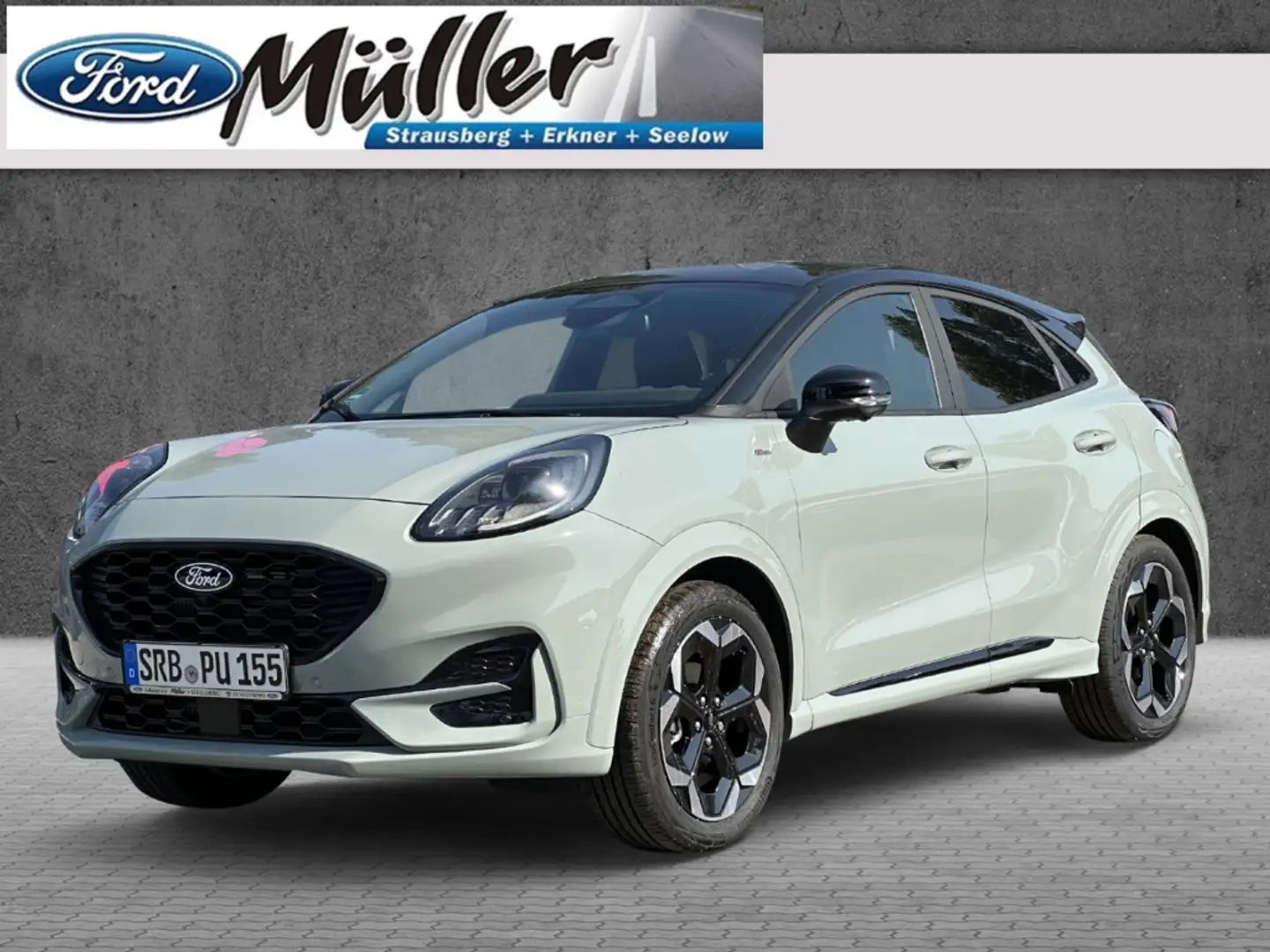 Ford Puma ST-Line X 1.0 EcoBoost Automatik Gris - 1