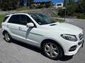 Mercedes-Benz GLE 350 GLE 350 d 4Matic Austria Edition Weiß - thumbnail 3