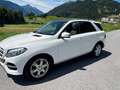 Mercedes-Benz GLE 350 GLE 350 d 4Matic Austria Edition Weiß - thumbnail 2