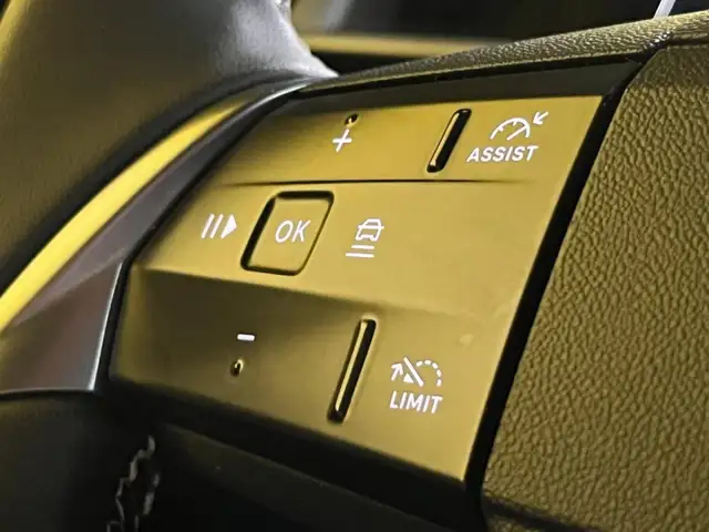 Opel Grandland view 21