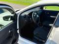 Volkswagen Polo Polo 4Sports 1,2 4Sports Weiß - thumbnail 5