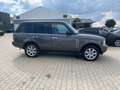 Land Rover Range Rover Vogue 4.4,AHK Grau - thumbnail 6