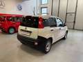 Fiat Panda 1.2 Van  2 posti Euro 6D-Temp 69cv Bianco - thumbnail 5