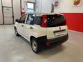 Fiat Panda 1.2 Van  2 posti Euro 6D-Temp 69cv Bianco - thumbnail 3