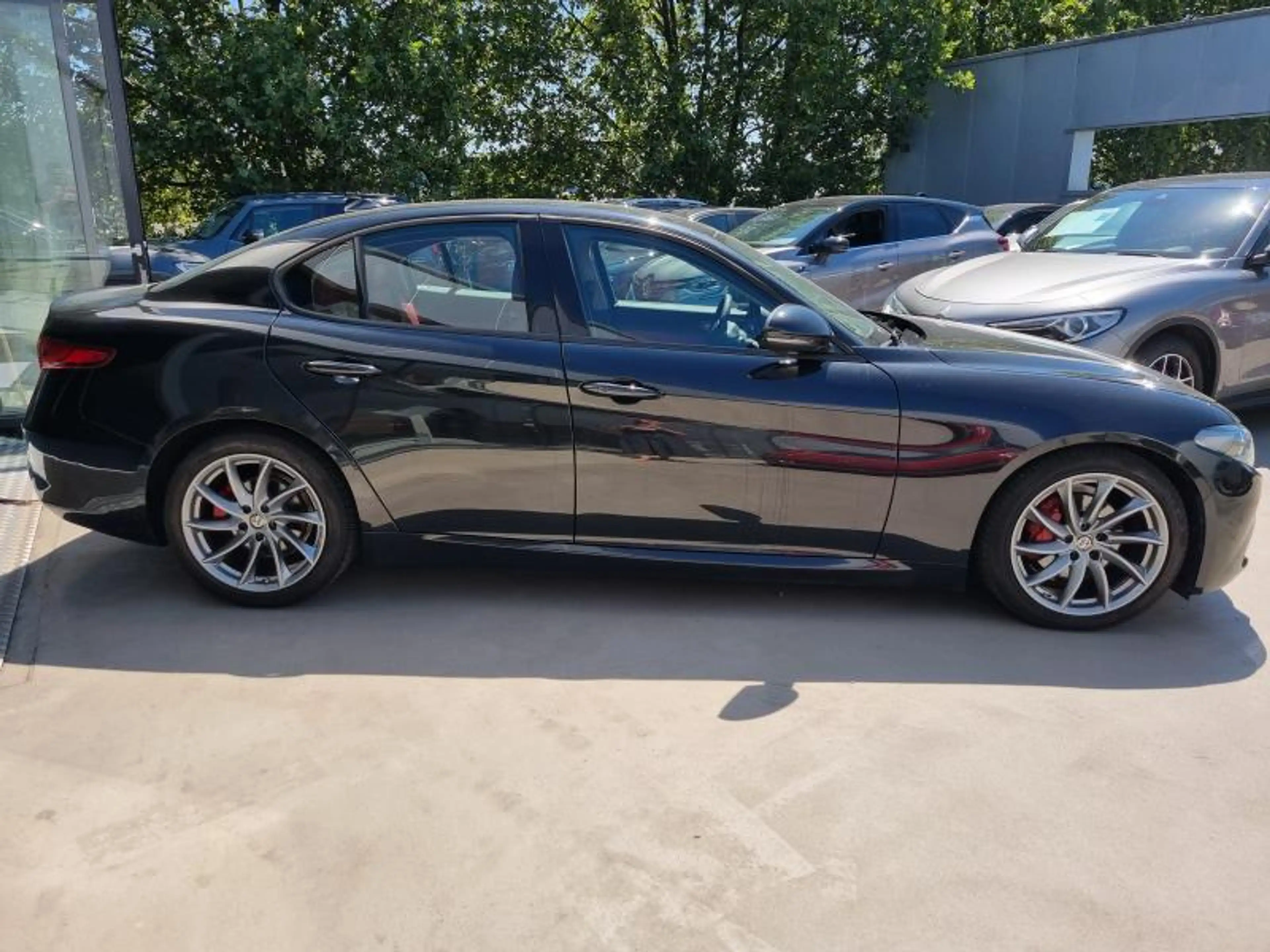 Alfa Romeo Giulia Super — photo 4
