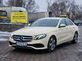 Mercedes-Benz E 200 E 200 d 9G-TRONIC Avantgarde Navi Kamera Taxipaket Beige - thumbnail 1