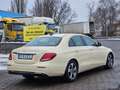 Mercedes-Benz E 200 E 200 d 9G-TRONIC Avantgarde Navi Kamera Taxipaket Beige - thumbnail 5