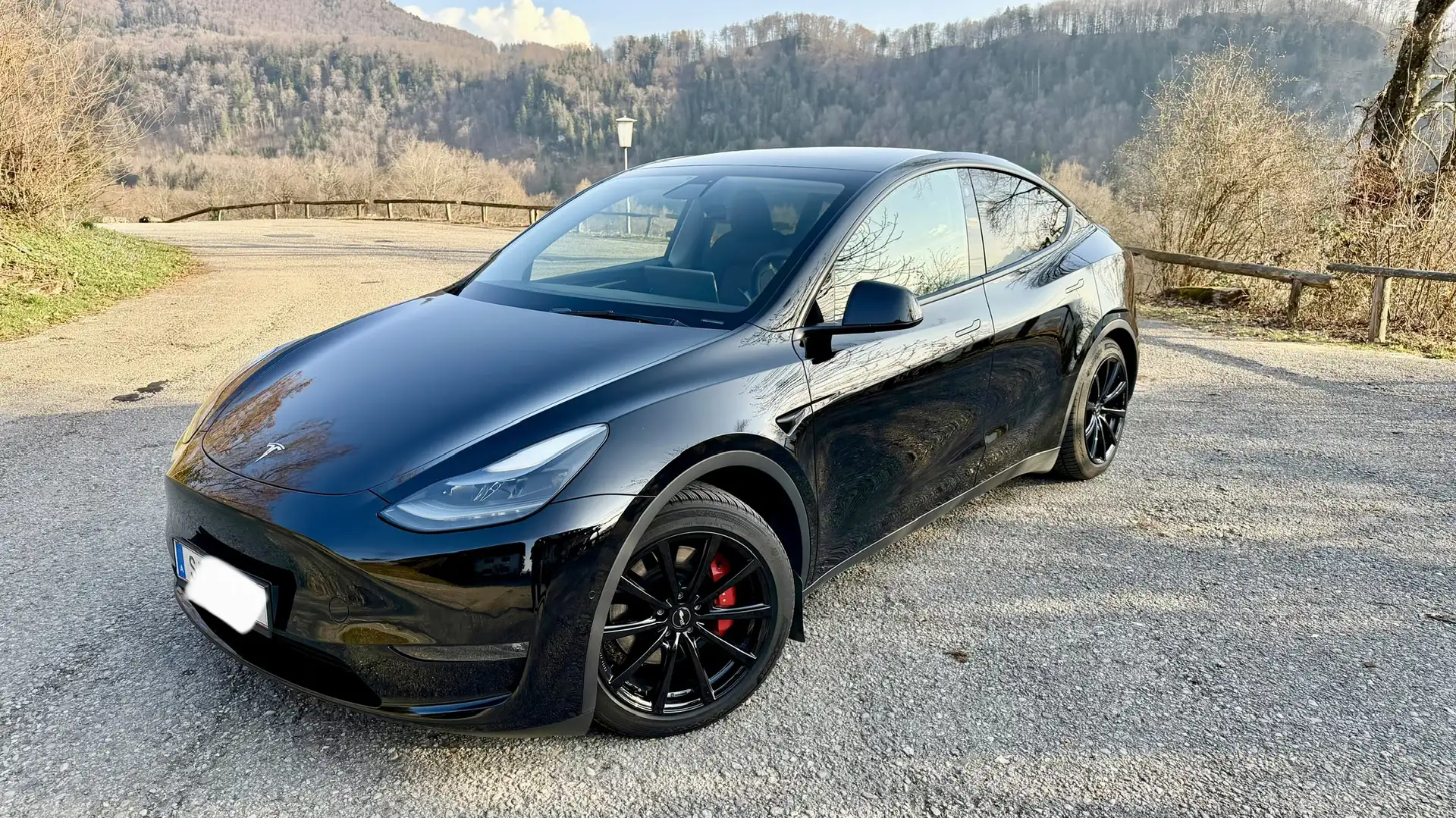 Tesla Model Y AWD 79kWh Performance Schwarz - 1