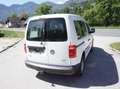 Volkswagen Caddy Kombi 2,0TDI 4 MOTION-2 Schiebetüren ÖAMTC ! Weiß - thumbnail 7