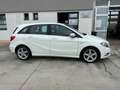 Mercedes-Benz B 180 B 180 CDI BlueEFFICIENCY Premium Bianco - thumbnail 5