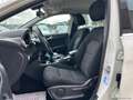 Mercedes-Benz B 180 B 180 CDI BlueEFFICIENCY Premium Bianco - thumbnail 13