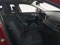 Kia Sportage Drive Hybrid Rot - thumbnail 11