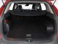 Kia Sportage Drive Hybrid Rot - thumbnail 12