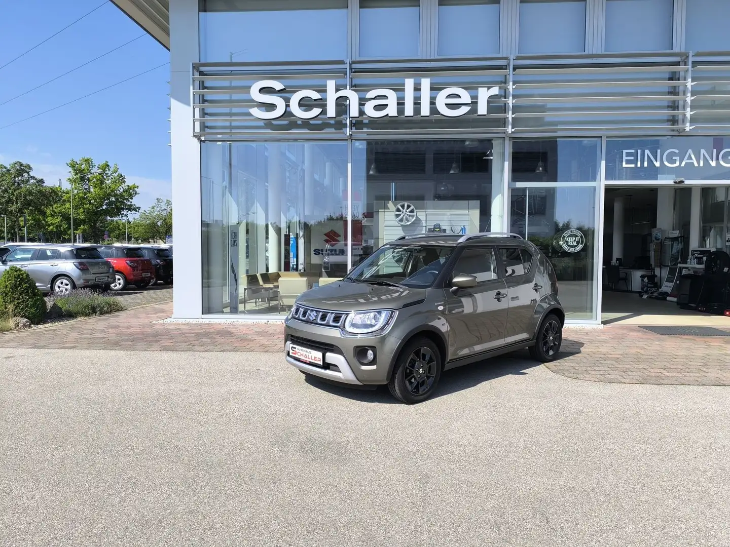 Suzuki Ignis 1.2 Dualjet Hybrid Allgrip Schaltgetriebe Vert - 2