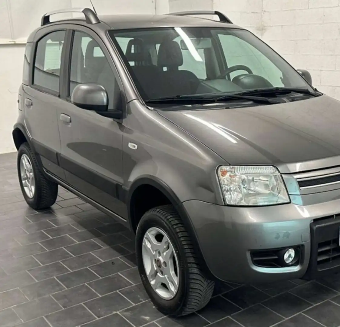 Fiat Panda 1.3 mjt 16v 4x4 75cv NEOPATENTATI Gris - 1