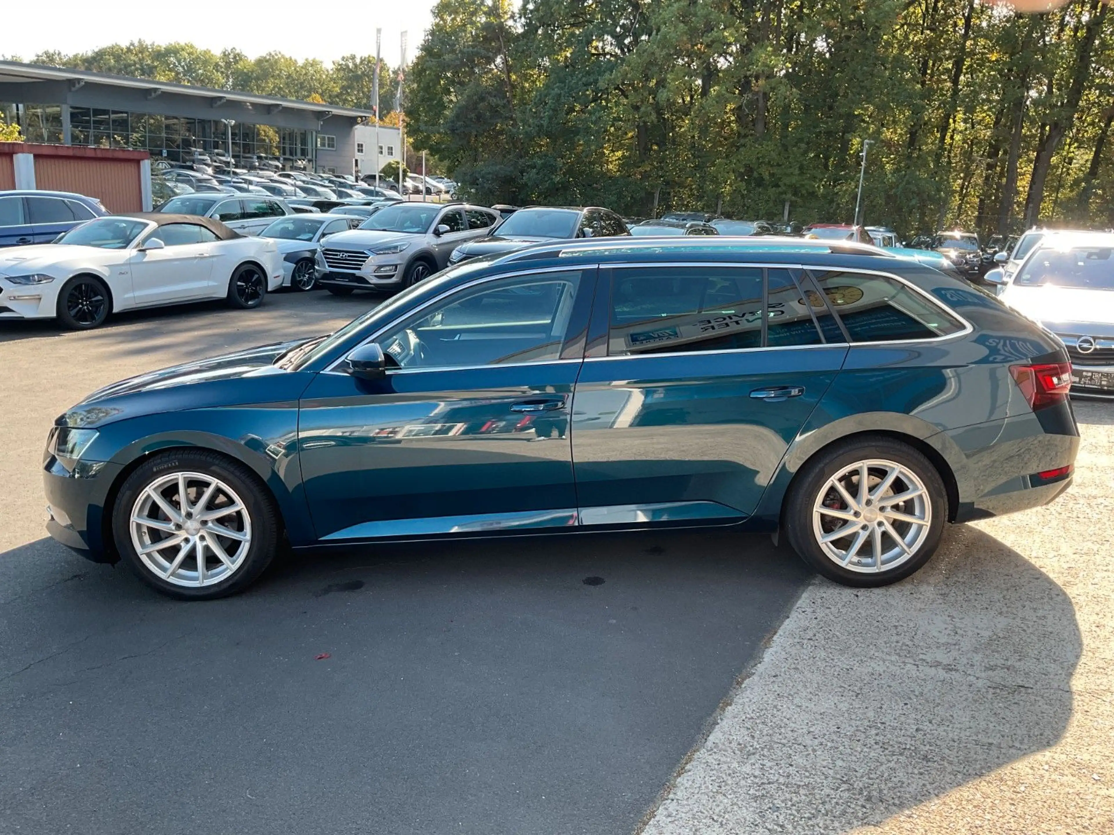 Skoda Superb Kombi 4x4 AHK Memory Leder Sitzbelüftung — photo 8
