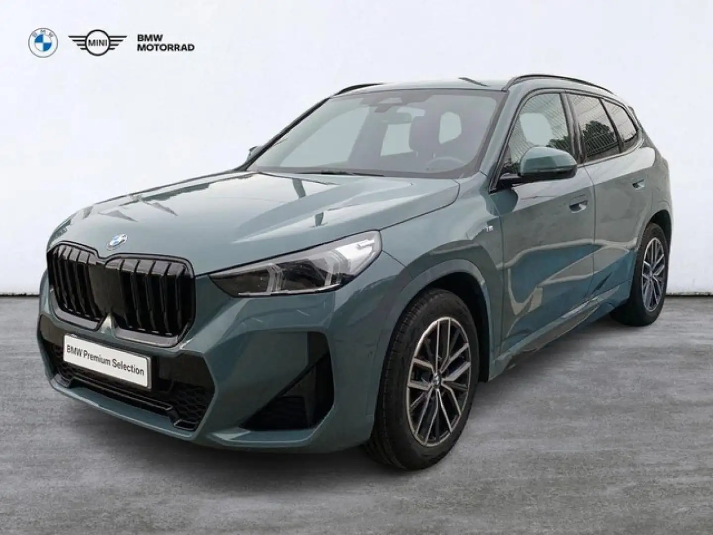 BMW X1 sDrive 18dA Verde - 1