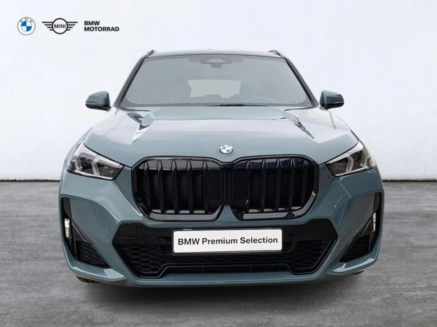 BMW X1 sDrive 18dA Verde - 2