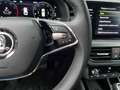 Skoda Scala -37% 1.0 TSI BVA 110cv +MIRRORLINK+CAM+Options Beige - thumbnail 16