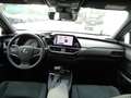 Lexus UX 250h Style Edition 1.4kWh Aut. FLA KAM Gris - thumbnail 11