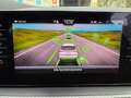 Skoda Kamiq Kamiq 1,0 TSI Monte Carlo DSG Monte Carlo Blau - thumbnail 13