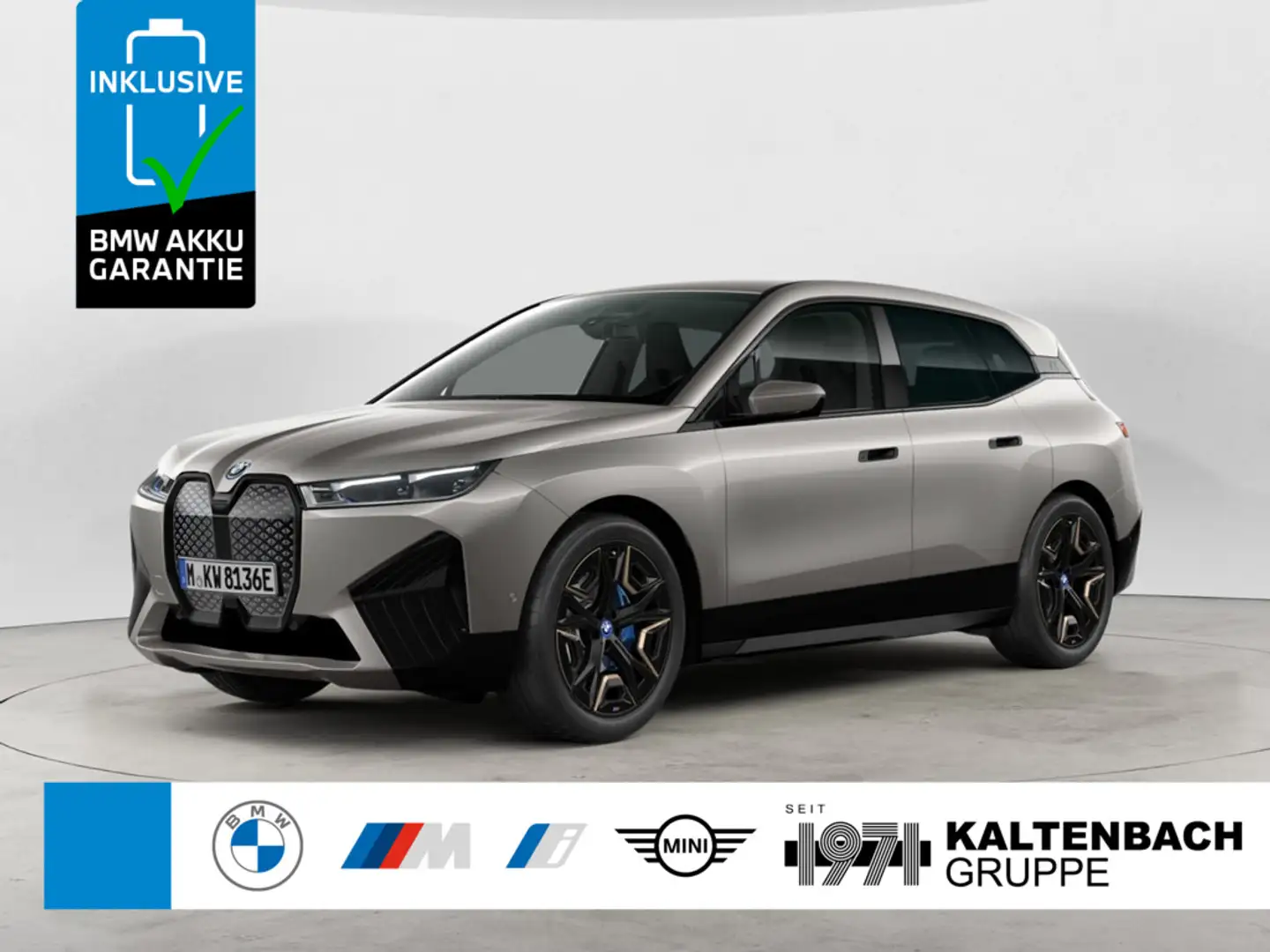 BMW iX 40 Grau - 1