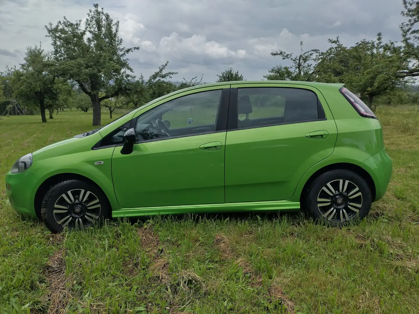 Fiat Punto Evo Punto EVO  5-Türer 0.9 Twinair More Start Vert - 2