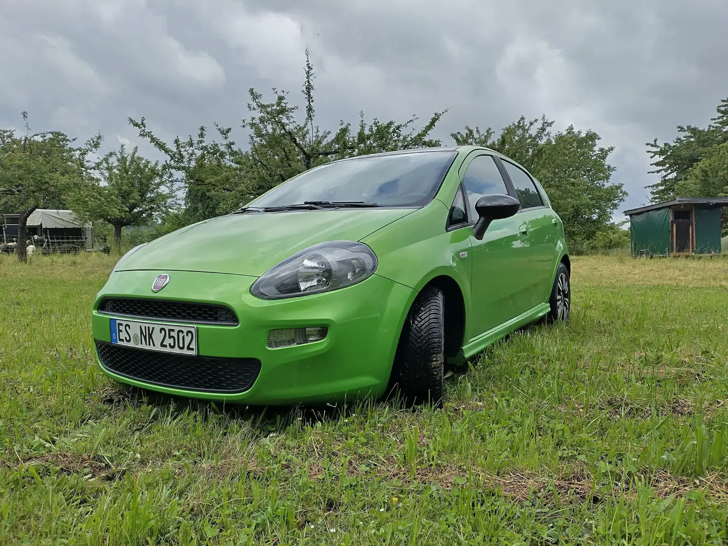 Fiat Punto Evo Punto EVO  5-Türer 0.9 Twinair More Start Vert - 1