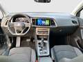SEAT Ateca Xperience 2.0 TDI DSG 4Drive Grün - thumbnail 9