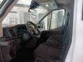 Ford Transit 350 2.0TDCi EcoBlue 130CV PM Cab.Trend CA Weiß - thumbnail 12