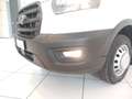 Ford Transit 350 2.0TDCi EcoBlue 130CV PM Cab.Trend CA Weiß - thumbnail 11