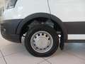 Ford Transit 350 2.0TDCi EcoBlue 130CV PM Cab.Trend CA Weiß - thumbnail 10