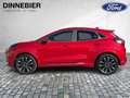 Ford Puma ST-Line Vignale Massage VirtualCockpit Rot - thumbnail 3